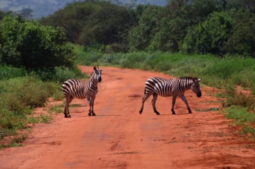 kenya 189